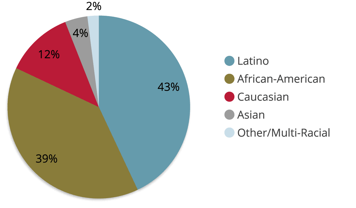 An illustrated pie chart depicting the race & ethnicity breakdown