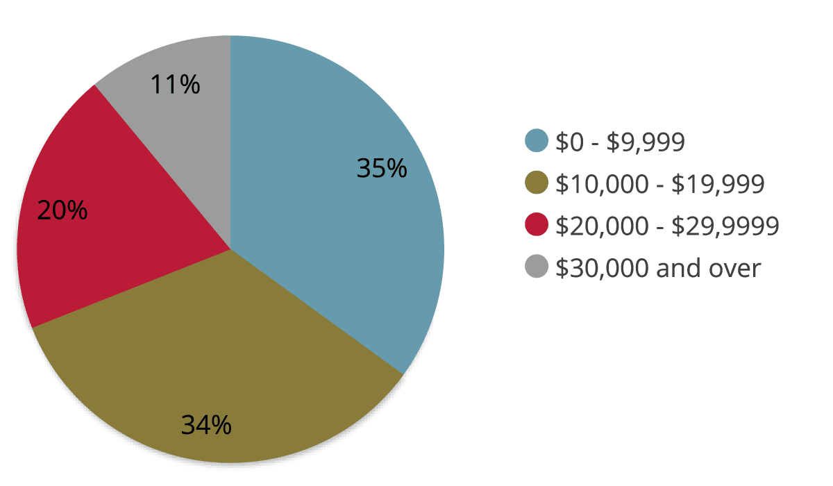 An illustrated pie chart depicting income data